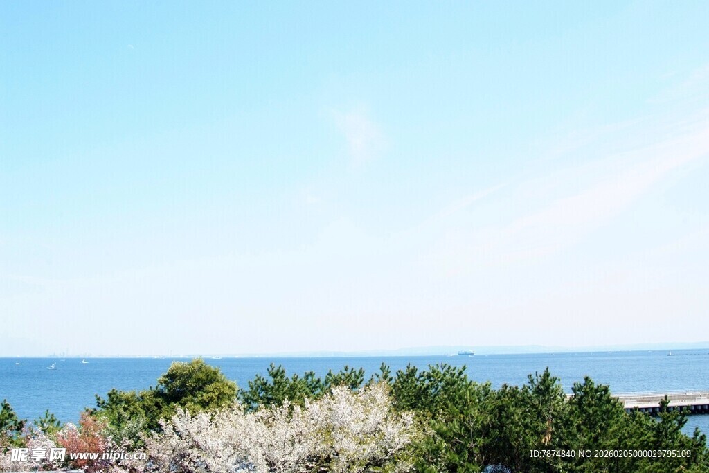 日本海边绿植与蔚蓝天空美景