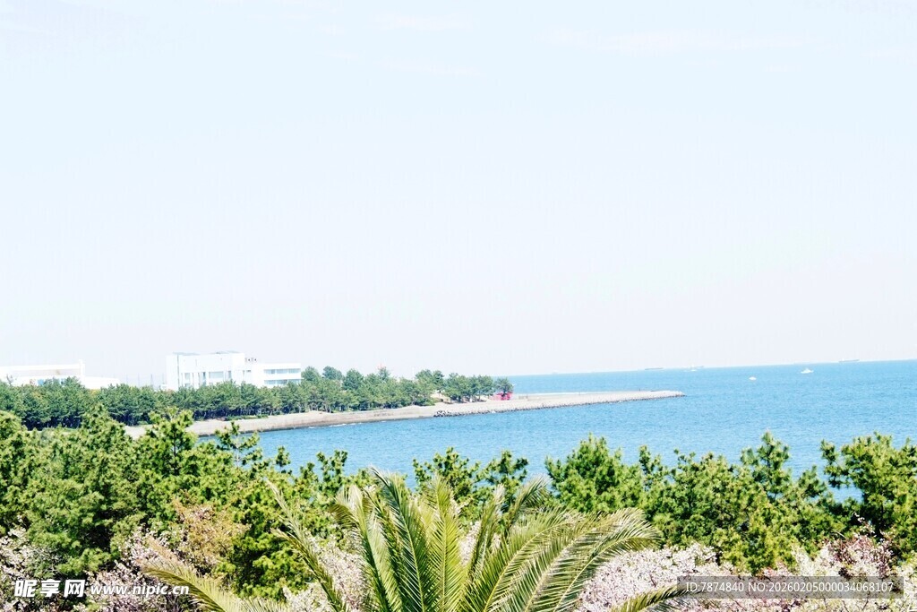 日本海滨绿植景观 清新海景