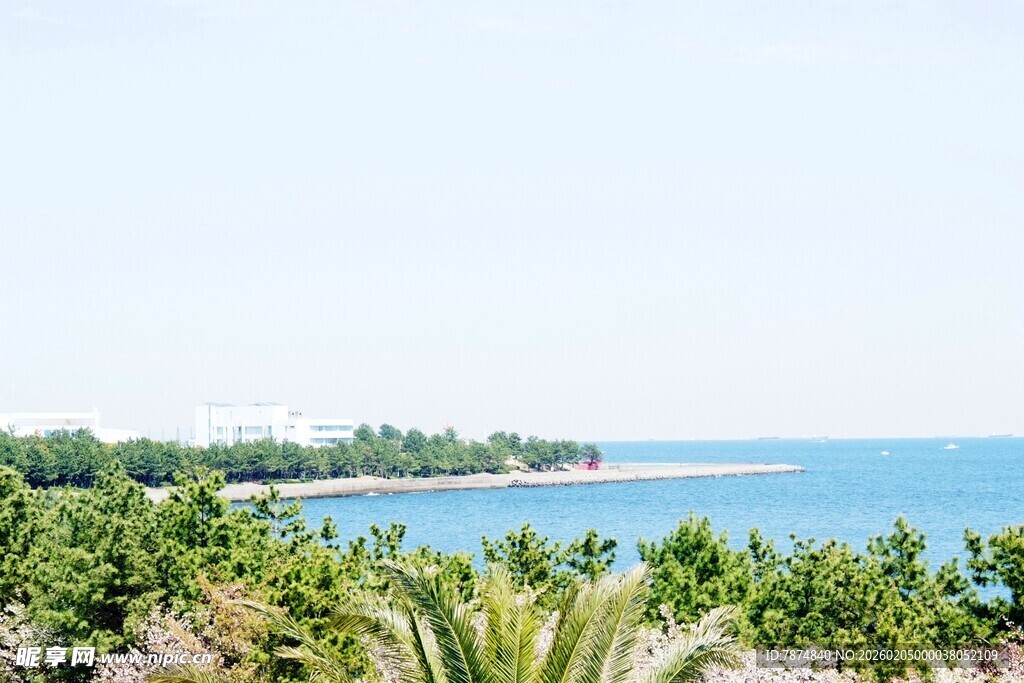 日本海滨绿植景观 清新宜人
