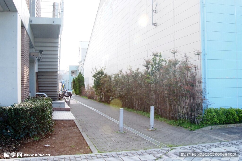 日本城市街道旁的绿植景观