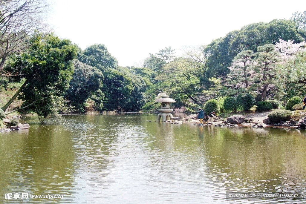 日本宁静河畔的自然景致