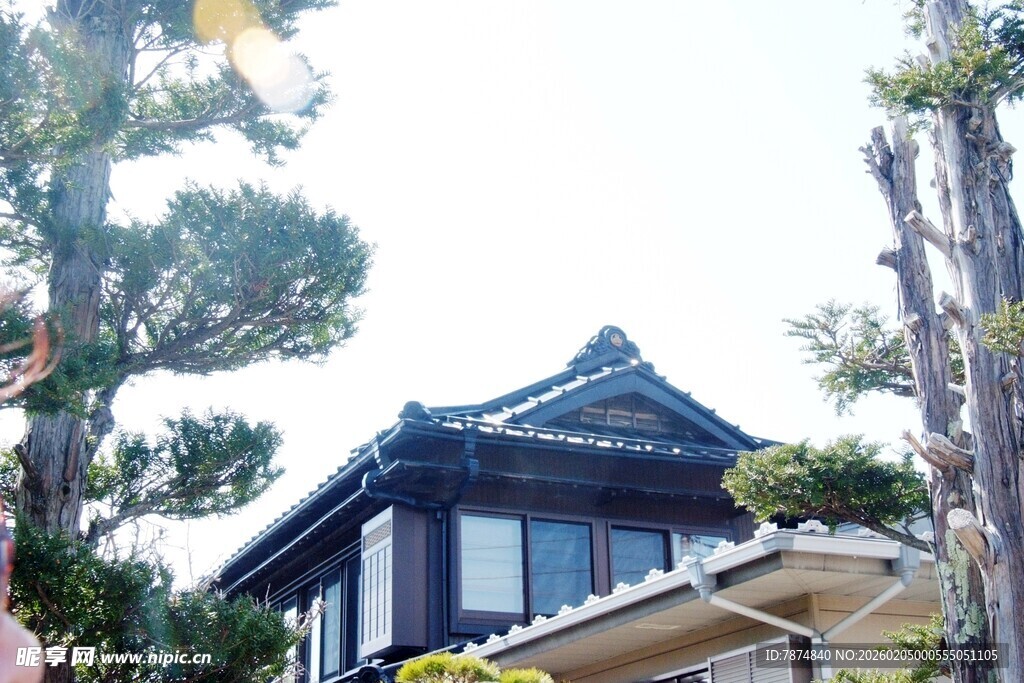 日本日式风格建筑与周边绿植