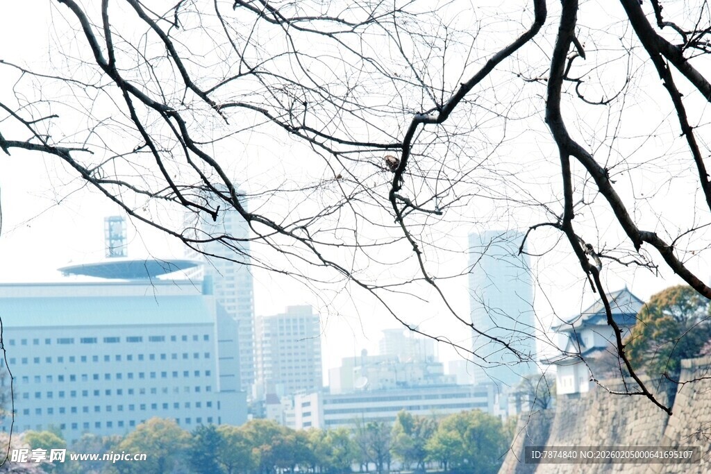 日本城市远景中的建筑与树木