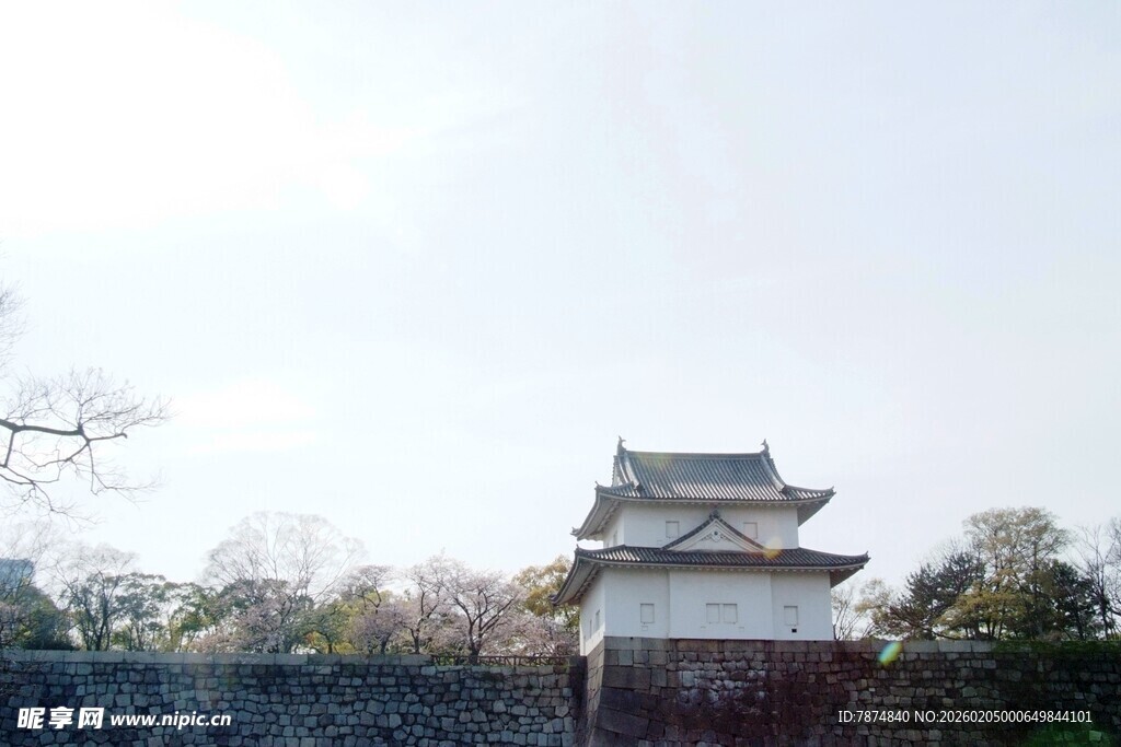 日本日式古建筑 掩映于林木间