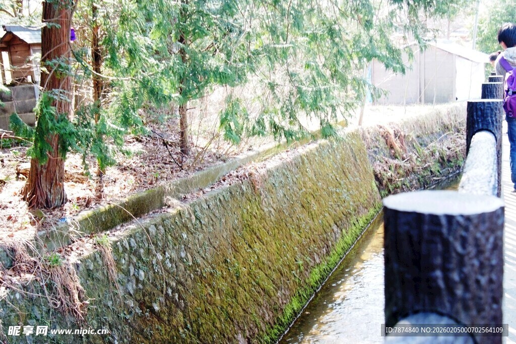 日本古朴石墙旁的静谧景致