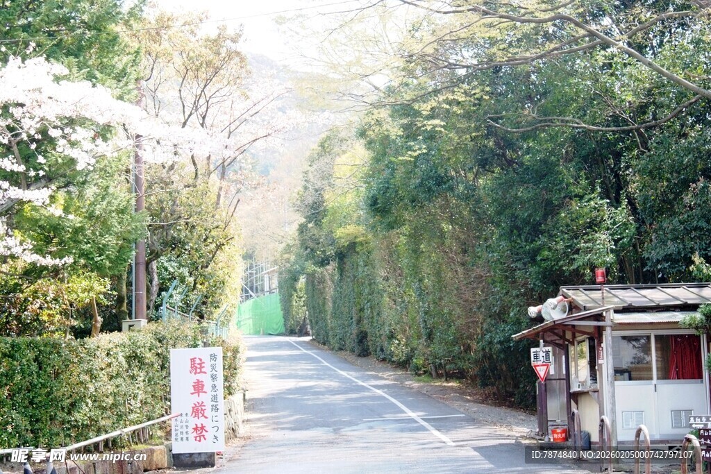 日本日式林荫小道入口景象