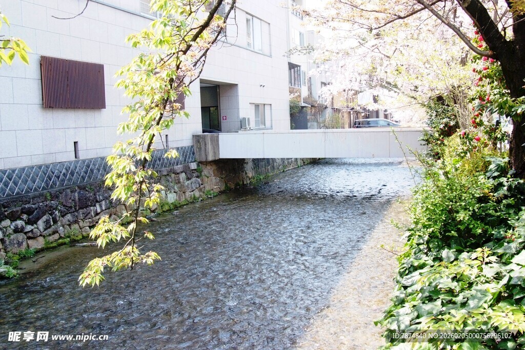 日本城市中的静谧溪边景致