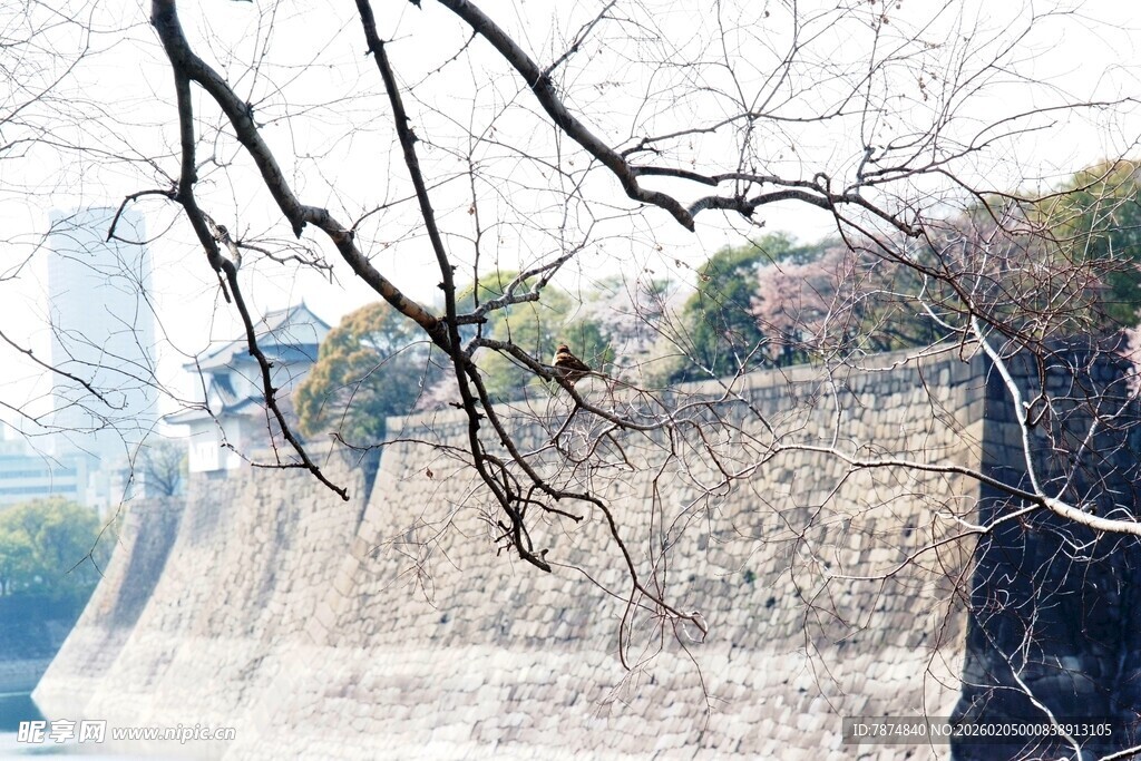 日本古老城墙与周边景致