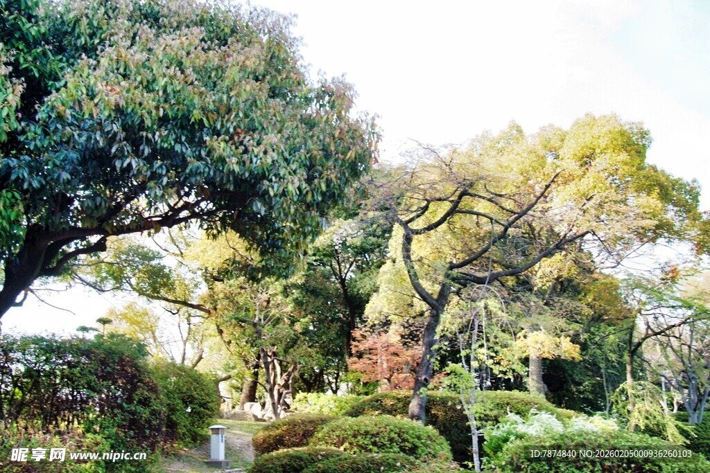 日本绿意盎然的园林景观