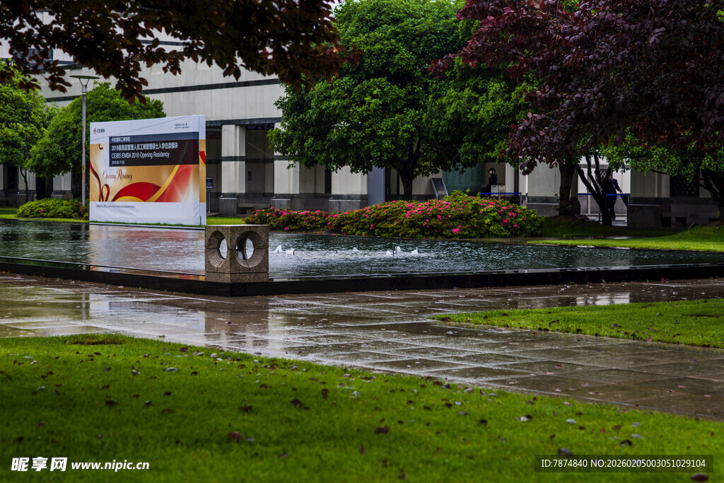 校园雨后校园景观