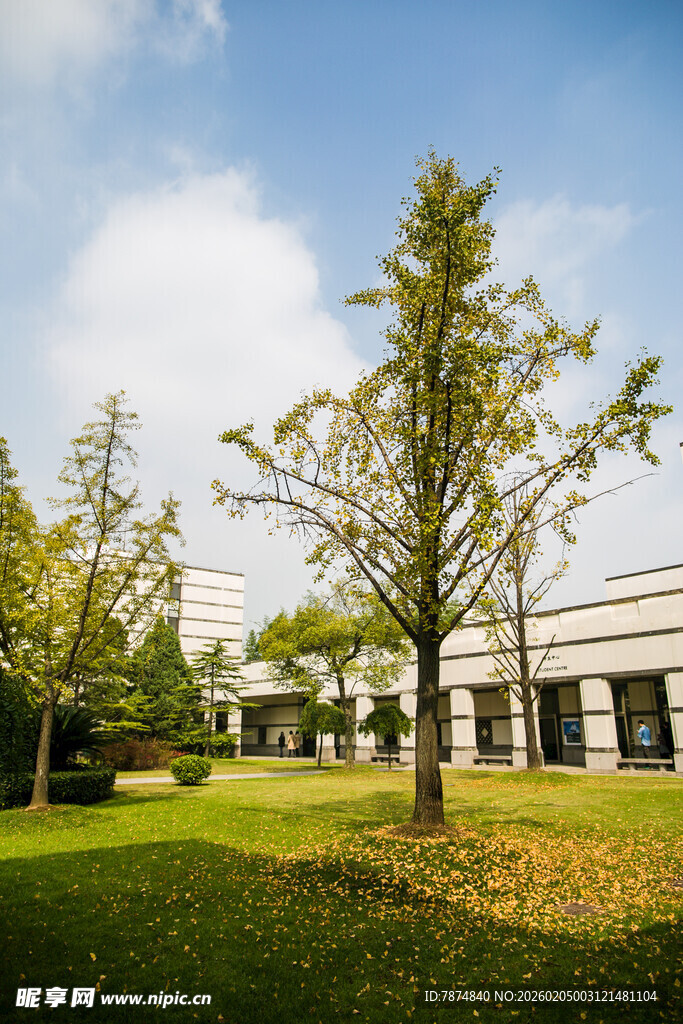 校园户外绿树环绕的建筑景观