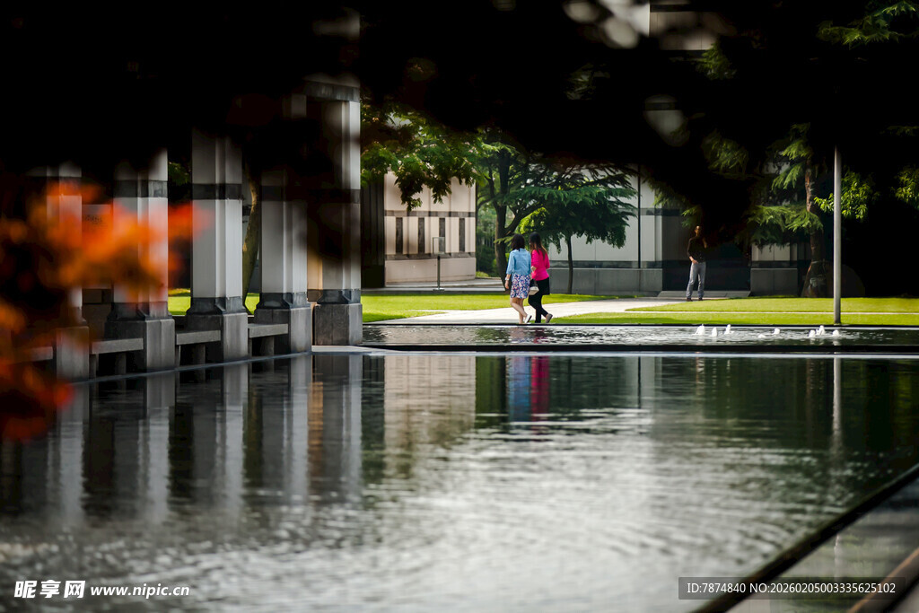 校园雨后校园积水处的静谧景象