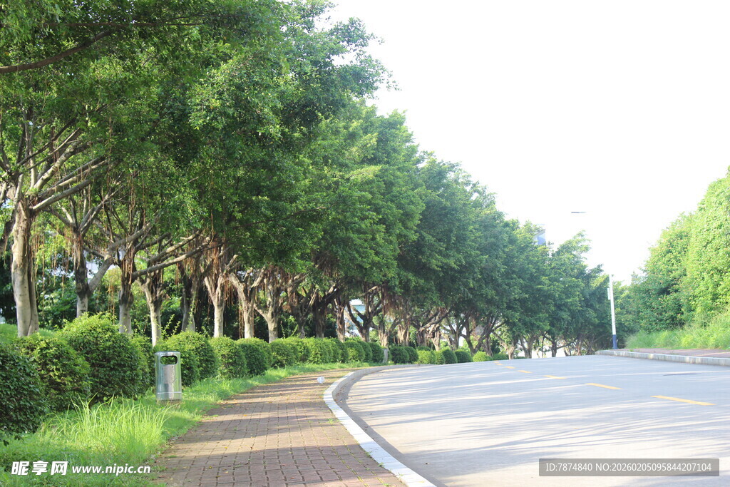 广医林荫公路 清新自然景致