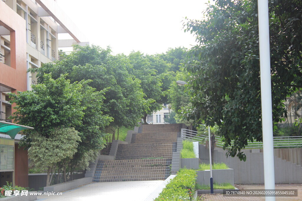 广医校园林荫小道与阶梯