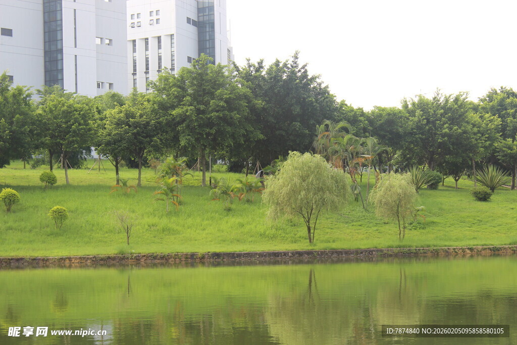 广医湖畔绿意盎然的城市风光