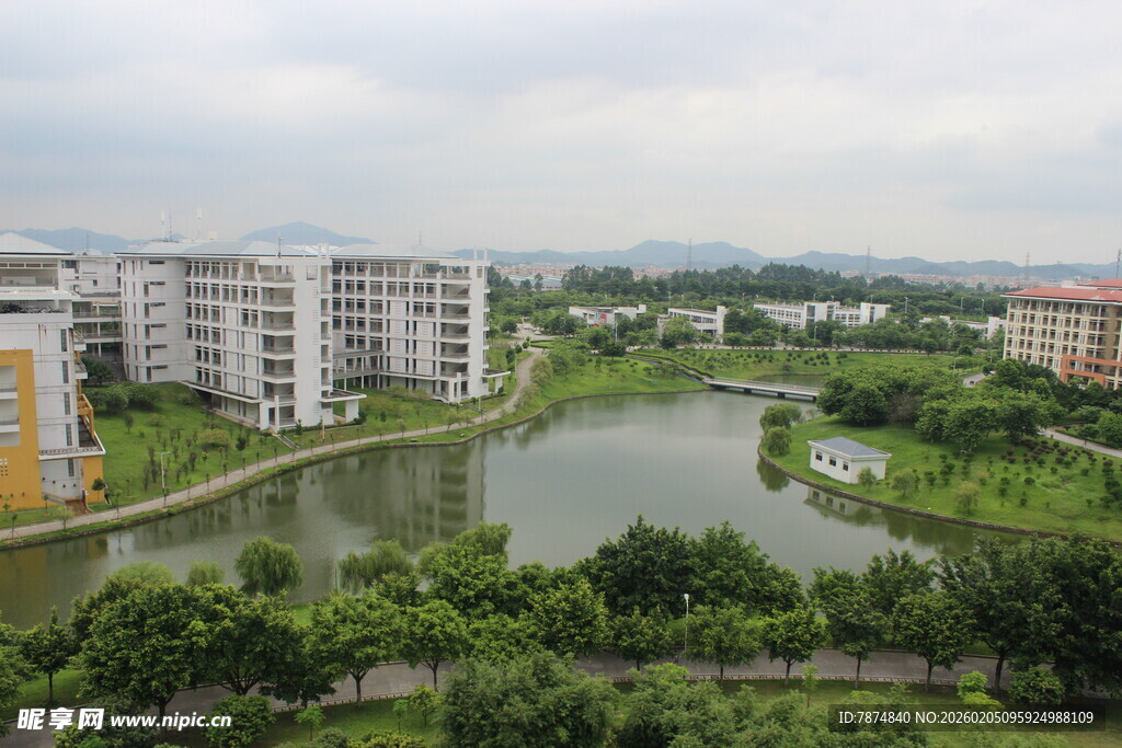 广医河畔楼宇与葱郁绿植景观
