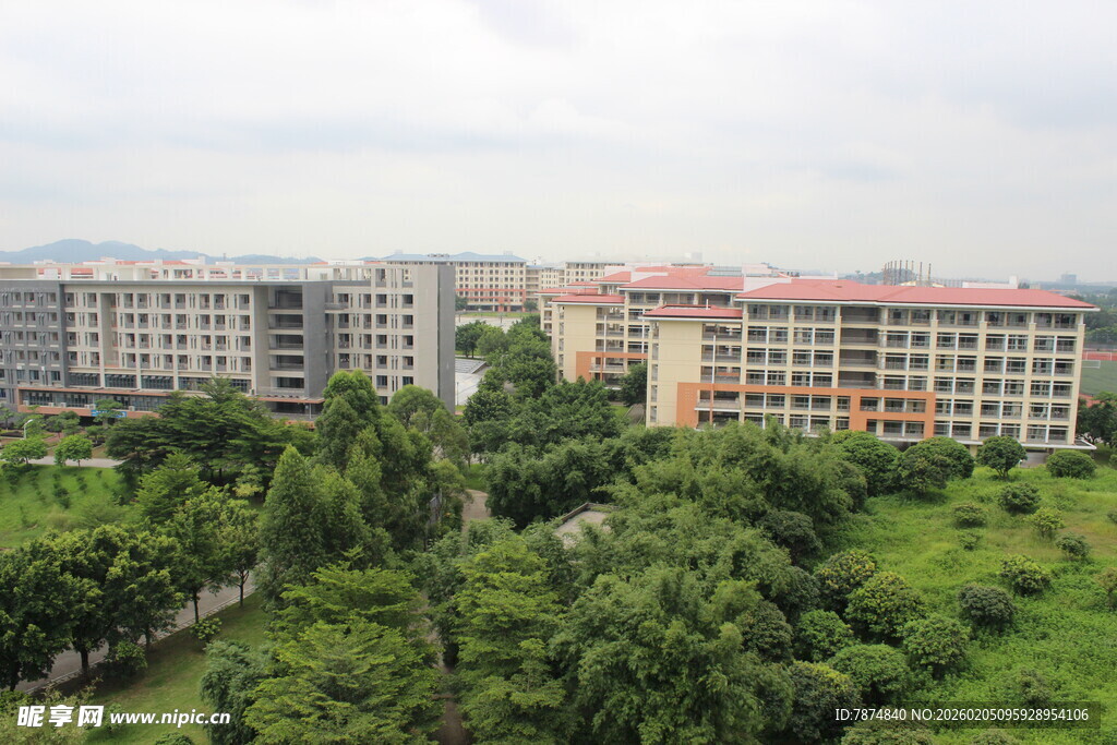 广医校园建筑被绿树环绕