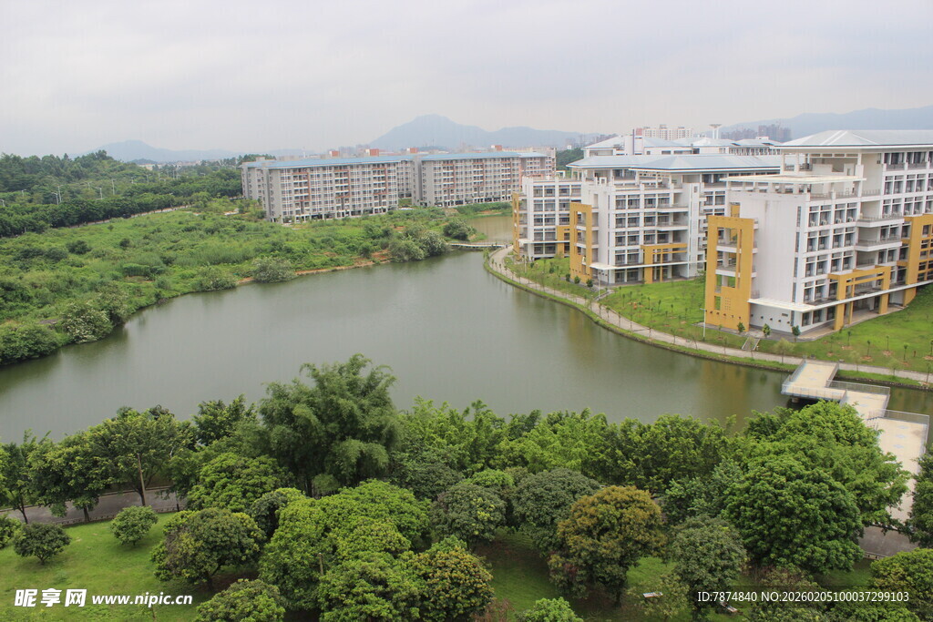 广医湖畔楼宇旁的绿意景致