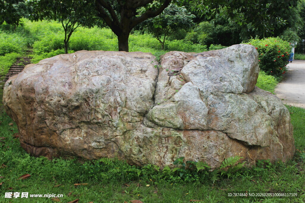 广医园林巨石