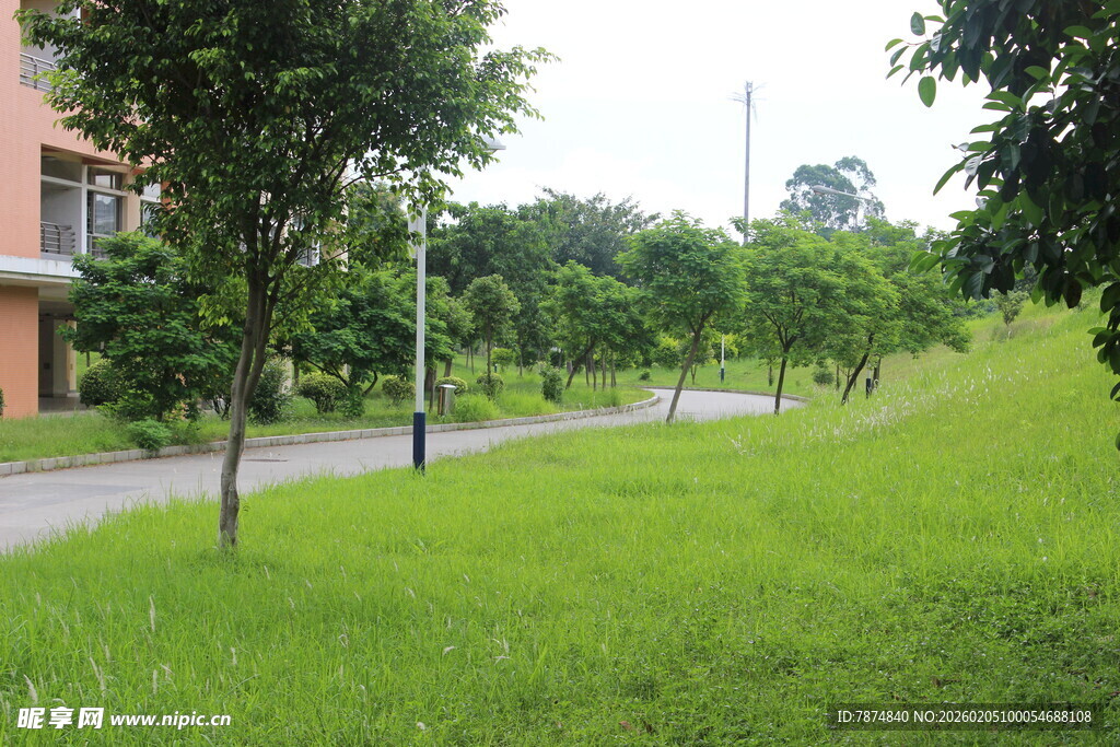 广医绿意盎然的校园小路