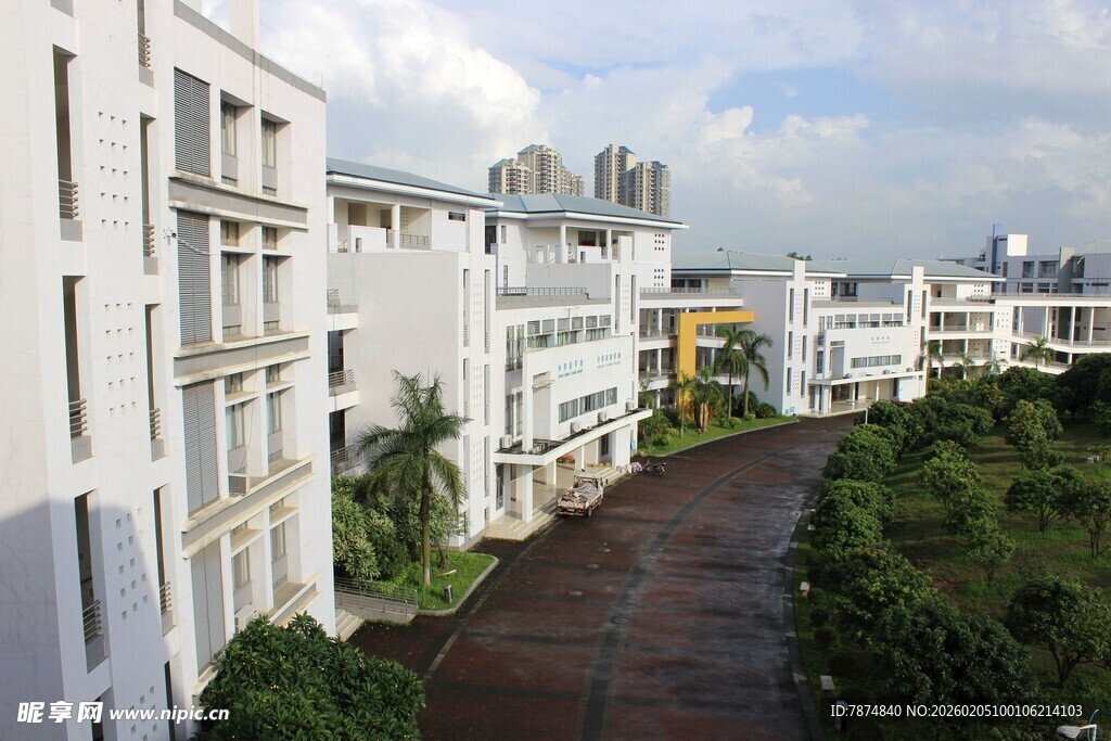 广医住宅区林荫小道景观