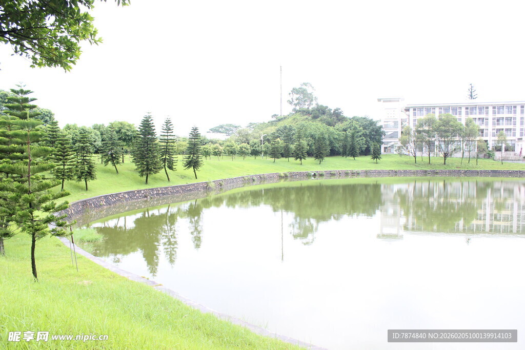 湖畔绿意盎然的宁静景致