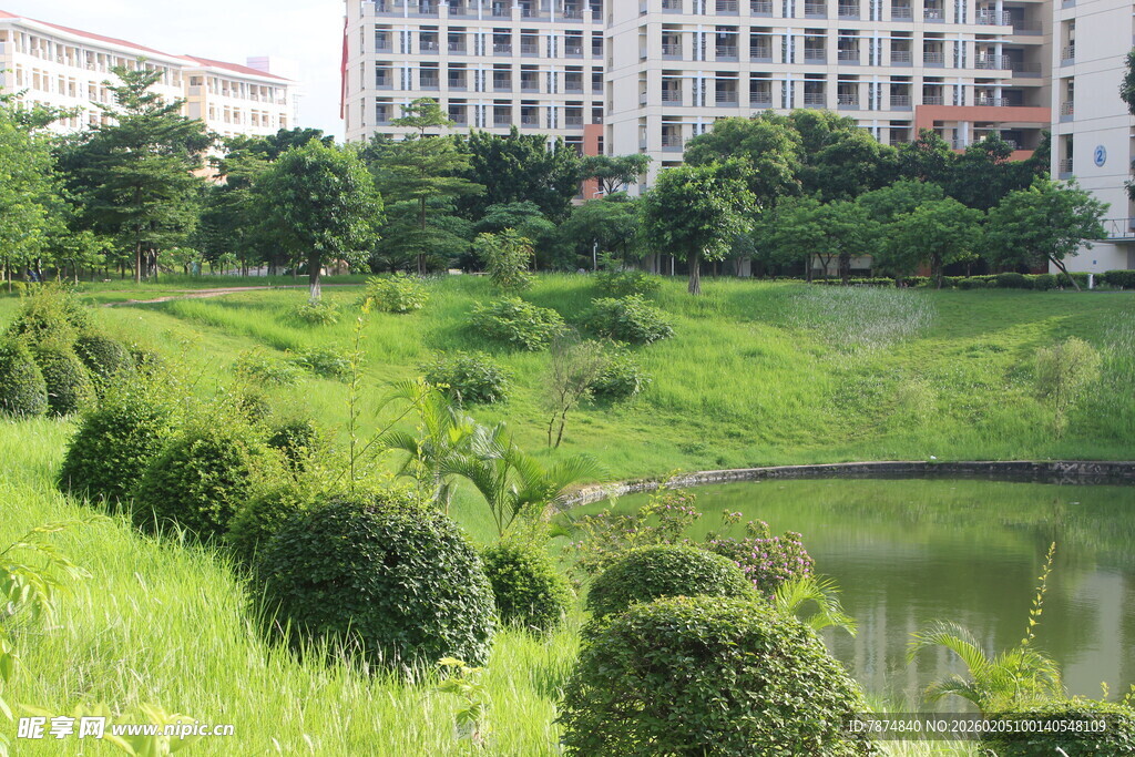 广医城市中的绿意盎然景观