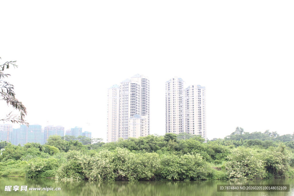 广医河畔绿树环绕的高楼景观
