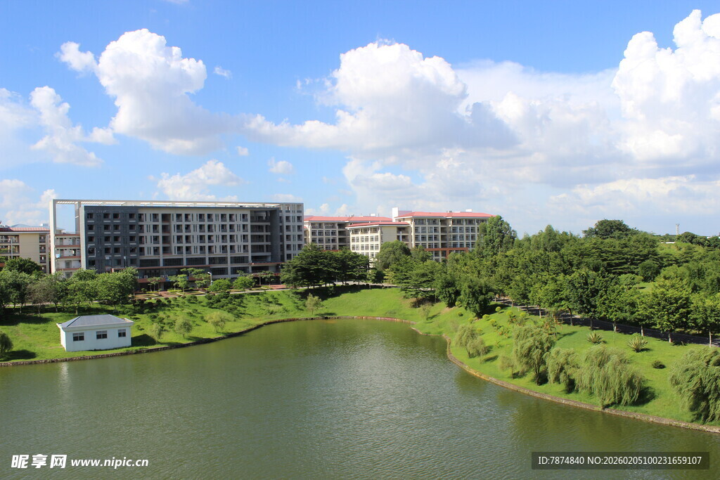 广医湖畔楼宇与葱郁绿植景观