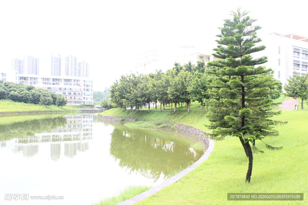 广医湖畔绿树成荫的宁静景致