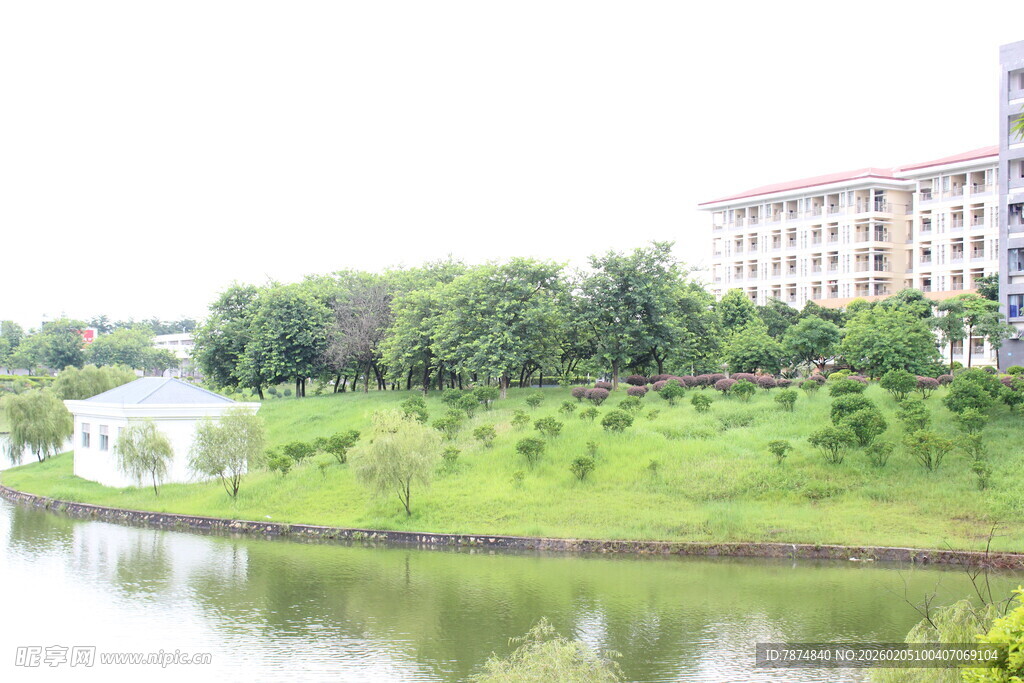 广医河畔绿意盎然的建筑风景