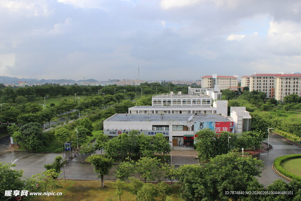 广医校园鸟瞰图 绿树环绕建筑