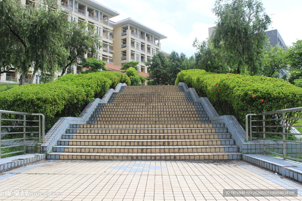 广医校园石阶与绿植景观