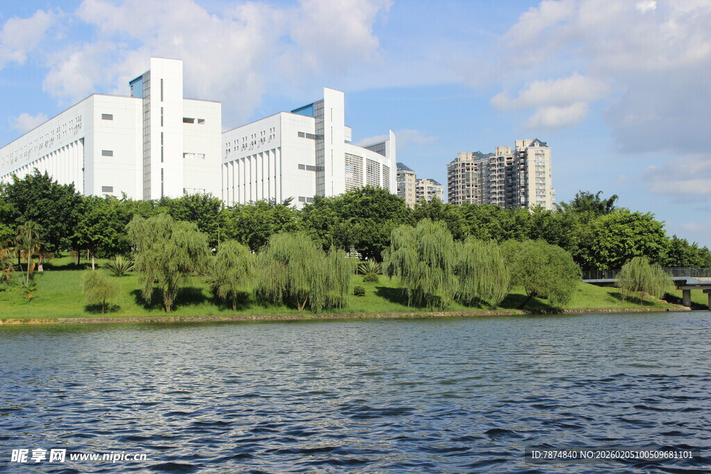 广医湖畔城市风光