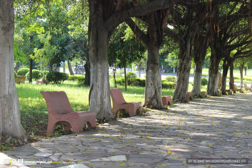 广医林荫下的休闲长椅