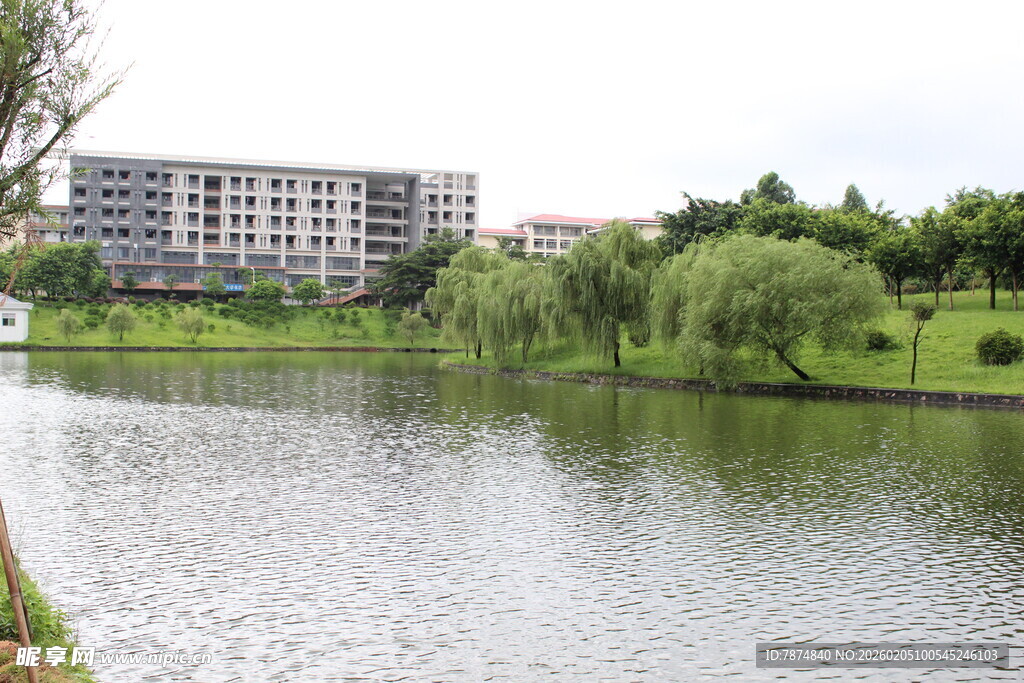 广医湖畔楼宇与葱郁绿植景观