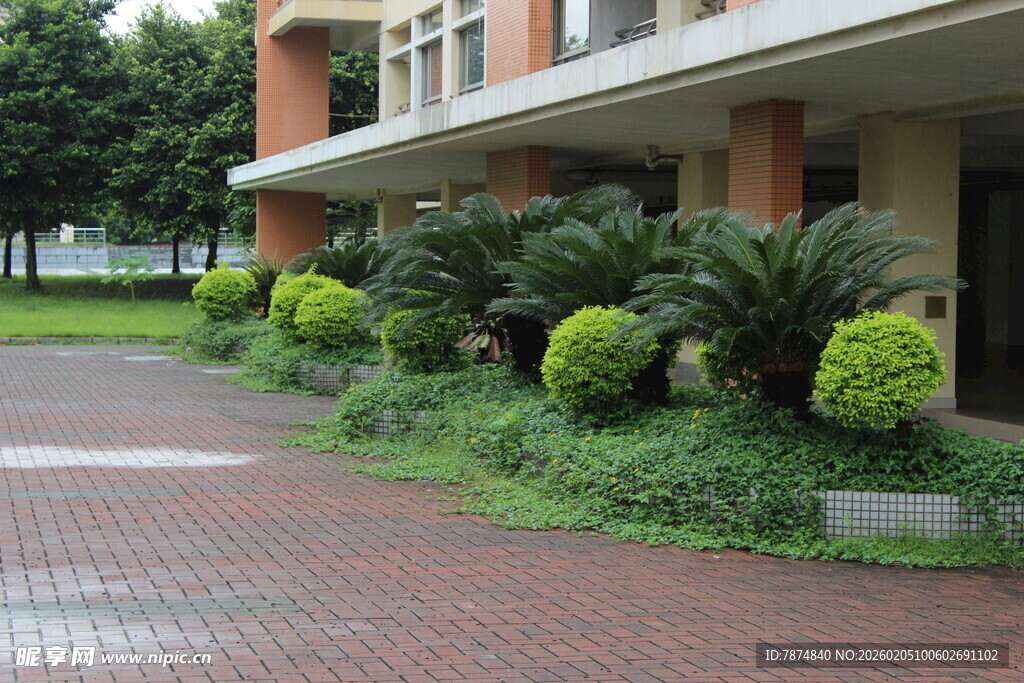 广医校园绿植景观