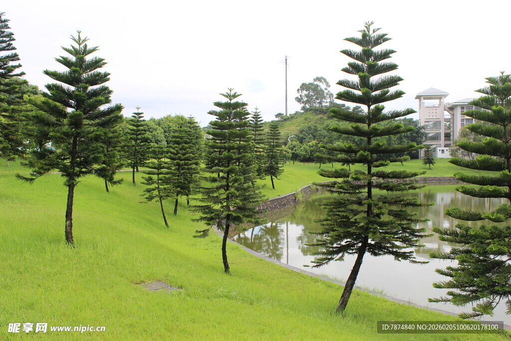 广医湖畔绿树成荫的美丽景致
