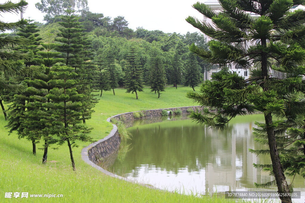 广医湖畔绿意盎然的宁静景致