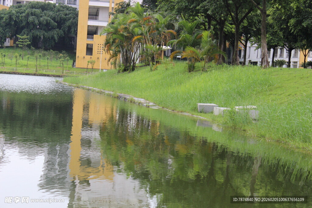 广医湖畔建筑倒影 绿意盎然