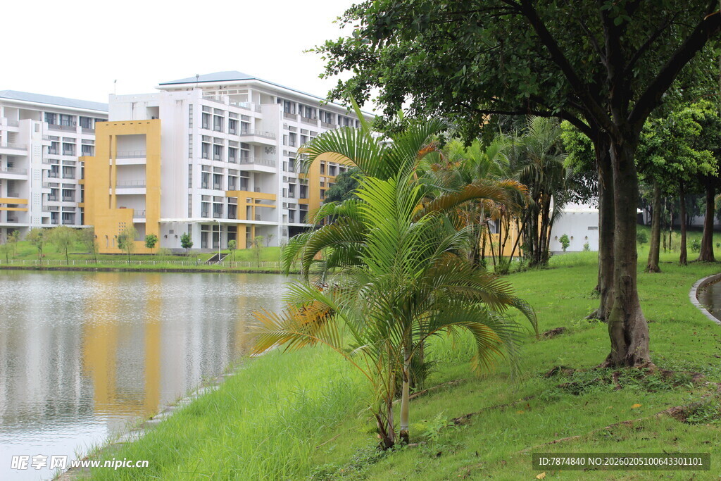 广医湖畔多彩建筑与绿植景观