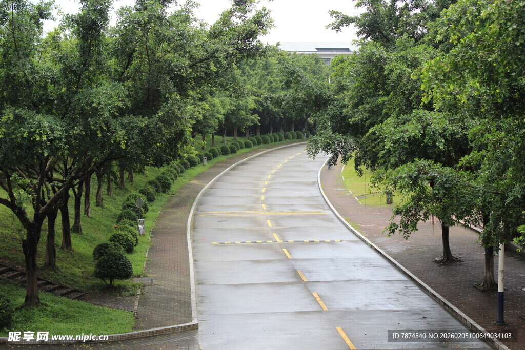 广医雨后林荫路 清新自然景