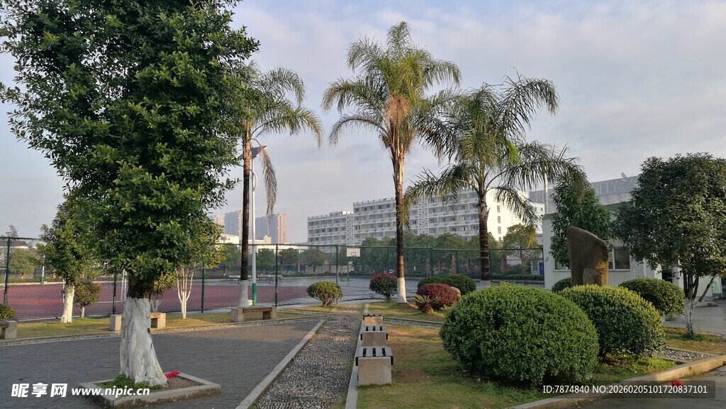 城市街道旁的绿植景观