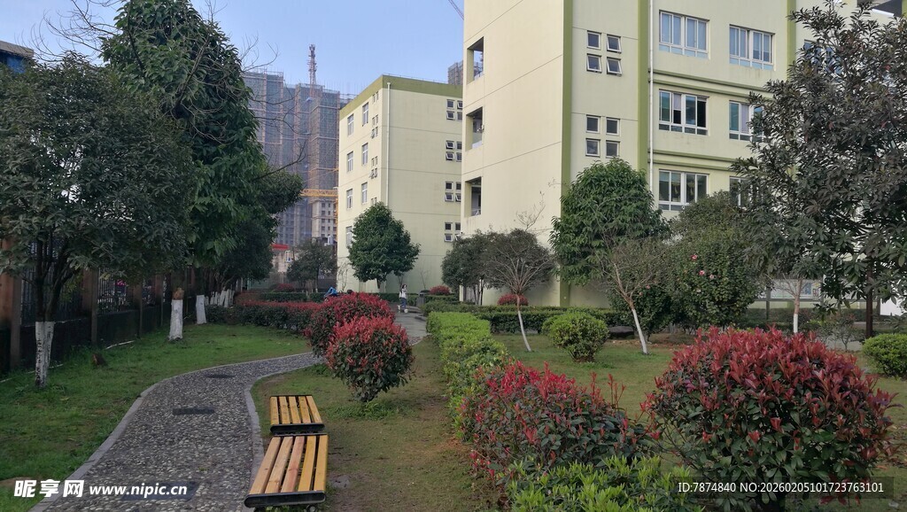 小区内的花园景观