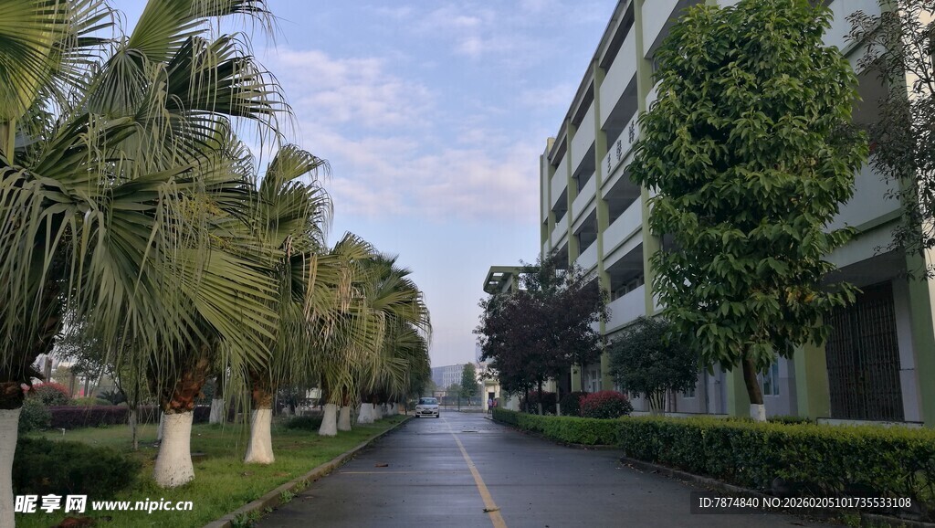 林荫大道旁的建筑景观