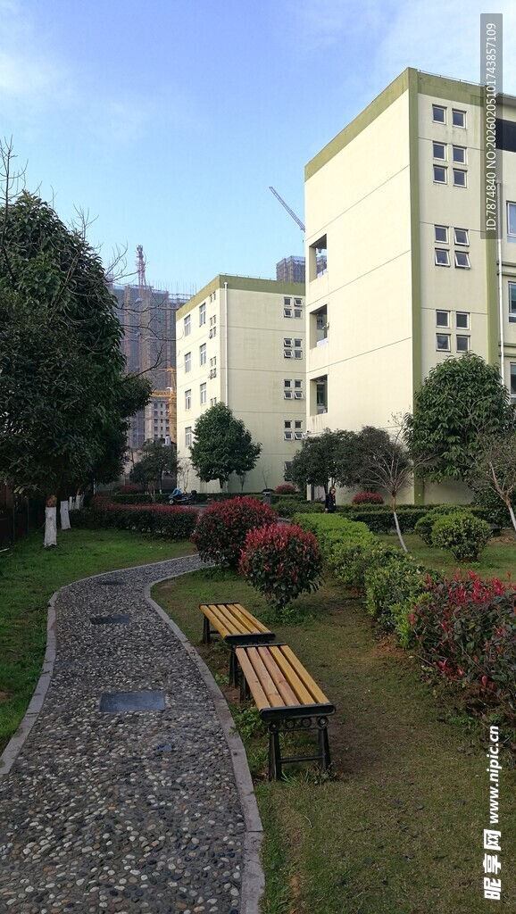 小区内的静谧休闲景观