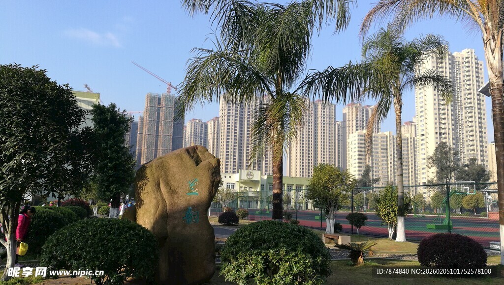 城市公园与高楼景观
