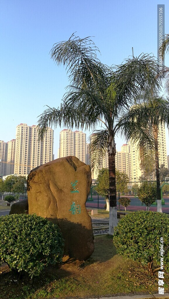 城市公园中的巨石与棕榈树