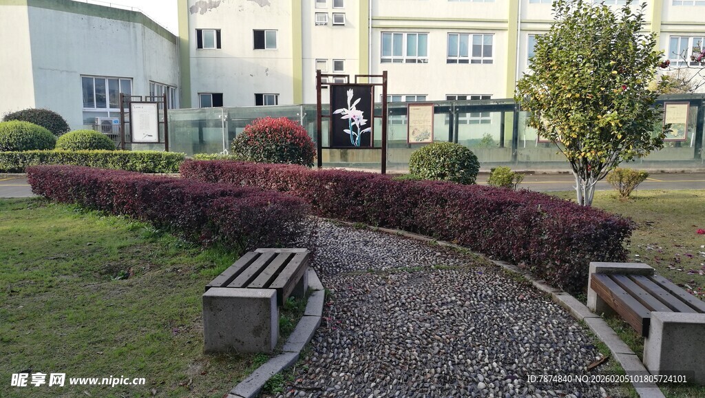 校园小径旁的绿植与长椅