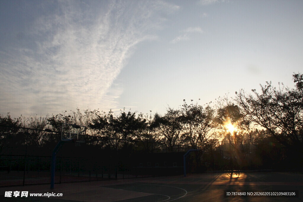 日落时分的树林美景